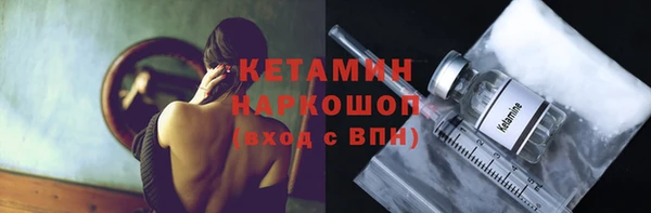шишки Костерёво