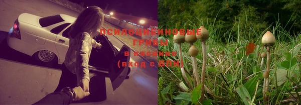 амф Нея