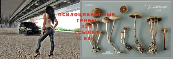 метадон Новозыбков