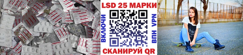 дарнет шоп  Светлогорск  Лсд 25 экстази ecstasy 