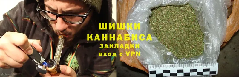Конопля марихуана МЕГА вход Светлогорск магазин наркотиков